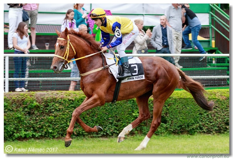 Bratislava - 04. j�na 2017 