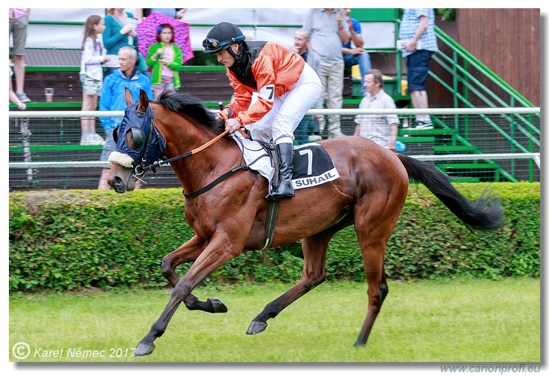 Bratislava - 04. j�na 2017 