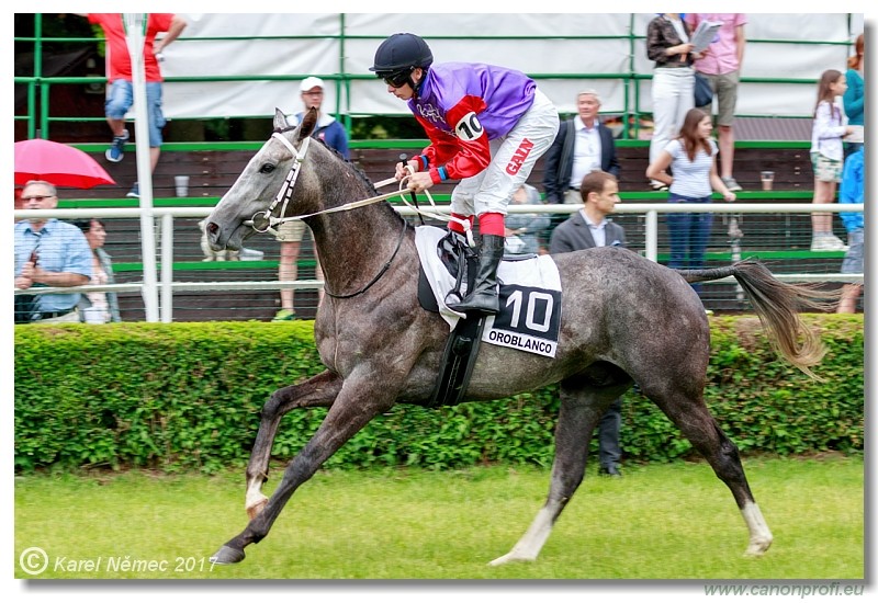 Bratislava - 04. j�na 2017 