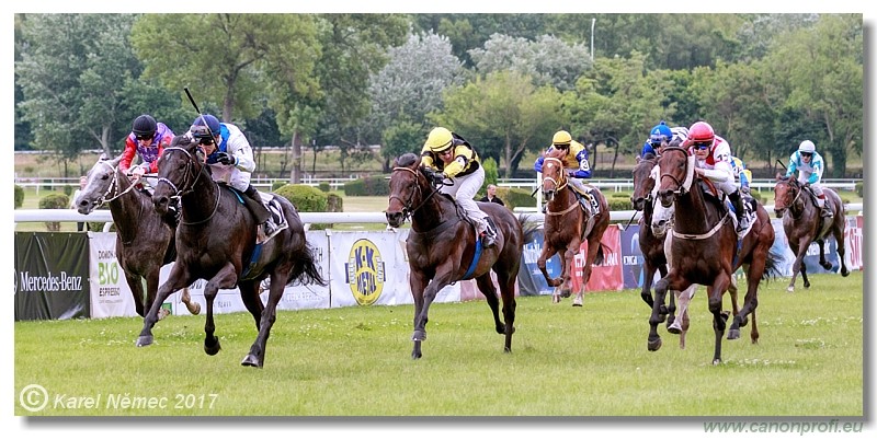 Bratislava - 04. j�na 2017 