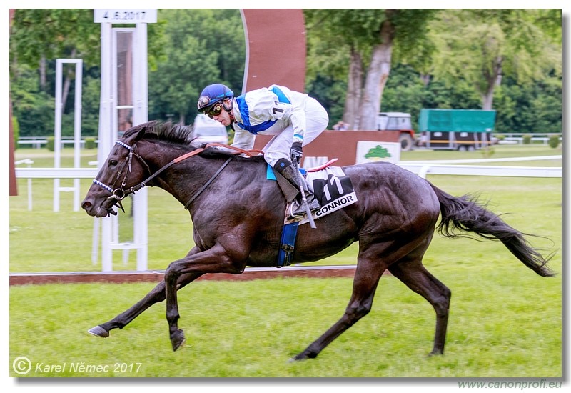 Bratislava - 04. j�na 2017 