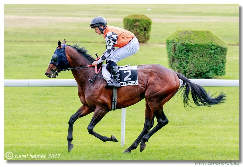 Bratislava - 04. j�na 2017 