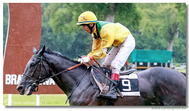 Bratislava - 04. j�na 2017 