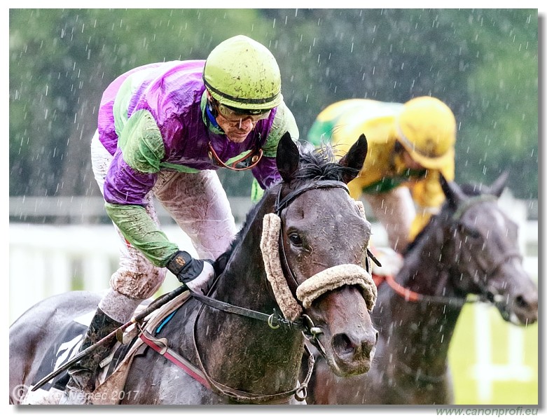 Bratislava - 04. j�na 2017 