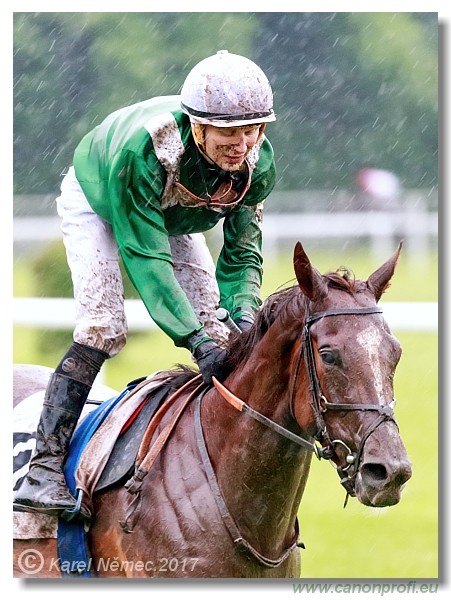 Bratislava - 04. j�na 2017 