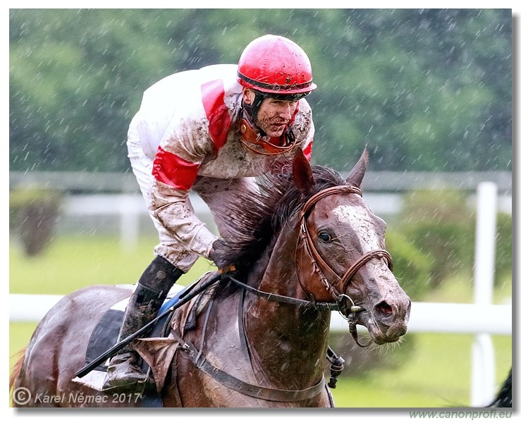 Bratislava - 04. j�na 2017 