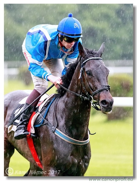 Bratislava - 04. j�na 2017 