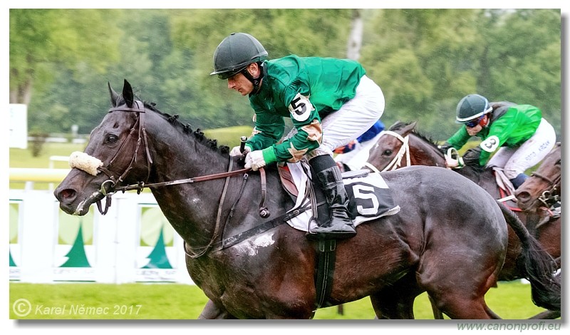 Bratislava - 04. j�na 2017 