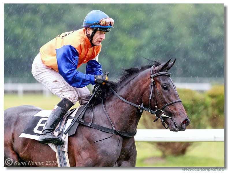 Bratislava - 04. j�na 2017 