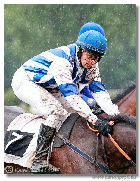 Bratislava - 04. j�na 2017 