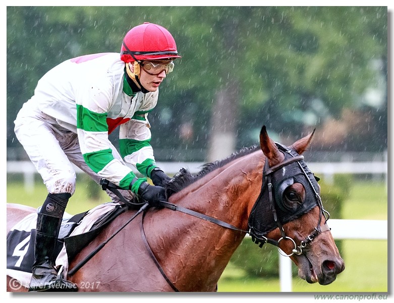 Bratislava - 04. j�na 2017 