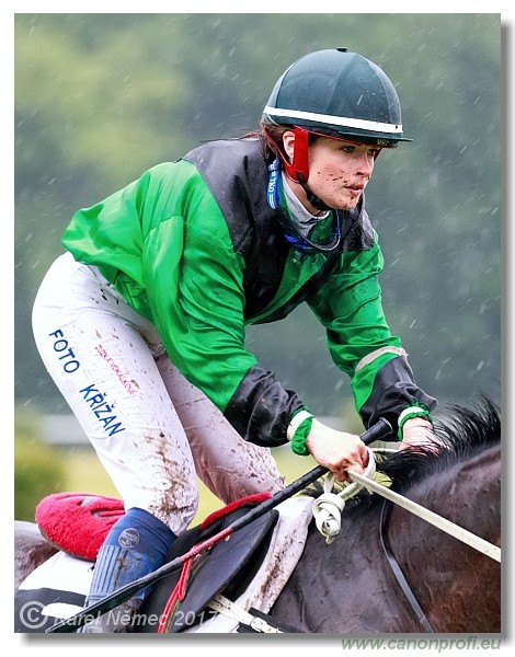 Bratislava - 04. j�na 2017 