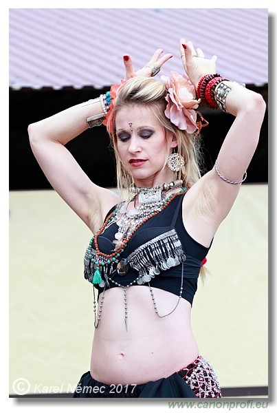 Bratislava - 04. j�na 2017 