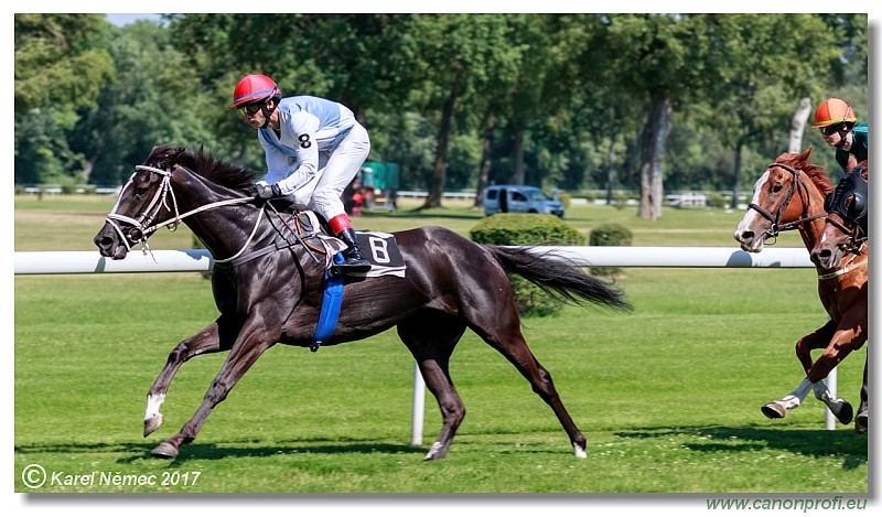 Bratislava - 24. j�na 2017 