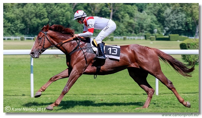 Bratislava - 24. j�na 2017 