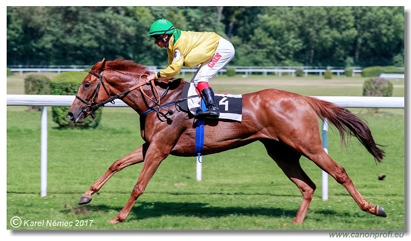 Bratislava - 24. j�na 2017 