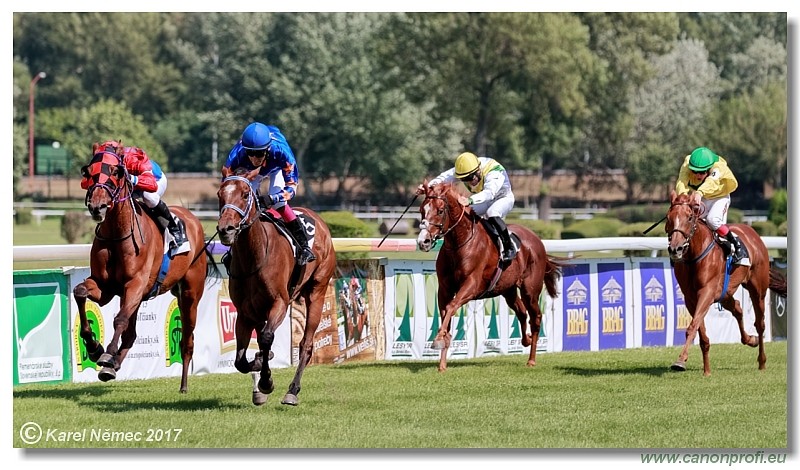 Bratislava - 24. j�na 2017 