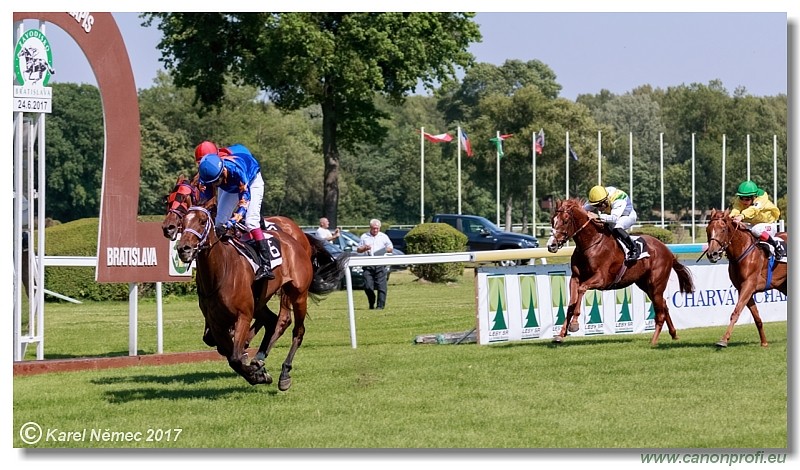 Bratislava - 24. j�na 2017 