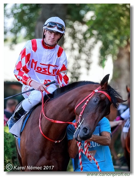 Bratislava - 24. j�na 2017 