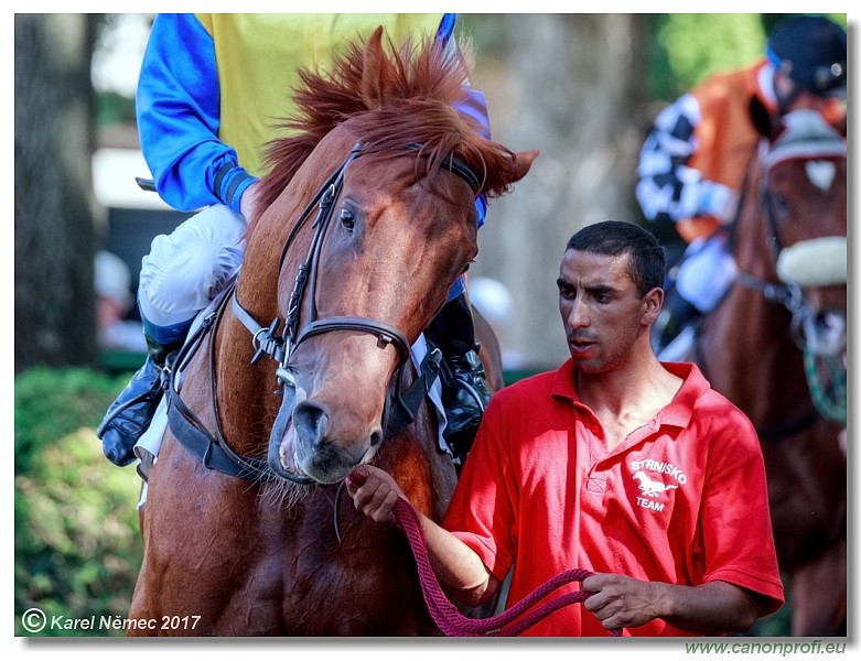 Bratislava - 24. j�na 2017 