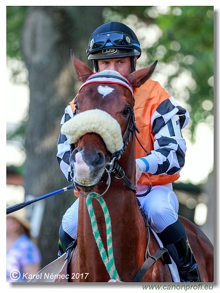 Bratislava - 24. j�na 2017 