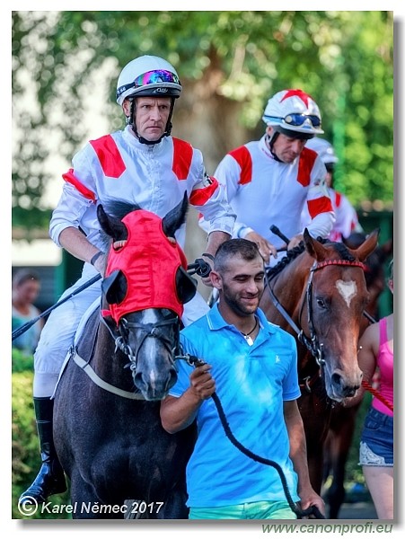 Bratislava - 24. j�na 2017 