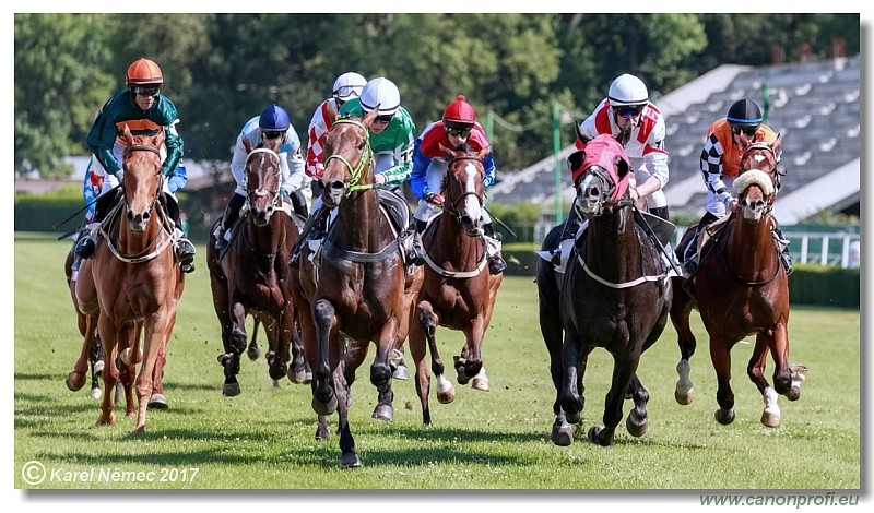 Bratislava - 24. j�na 2017 