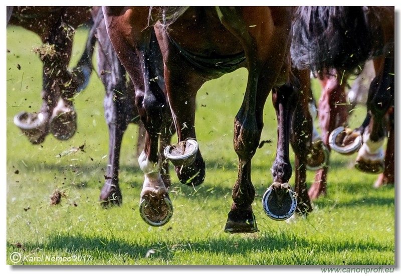 Bratislava - 24. j�na 2017 