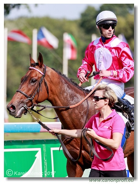 Bratislava - 16. j�la 2017 