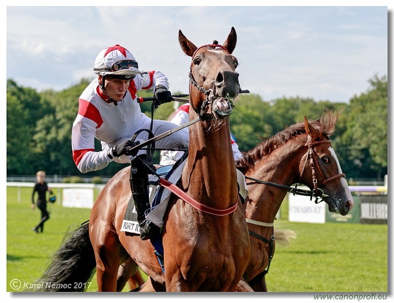 Bratislava - 16. j�la 2017 