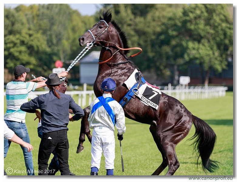 Bratislava - 16. j�la 2017 