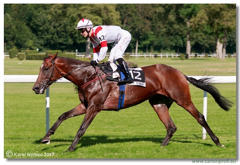 Bratislava - 16. j�la 2017 