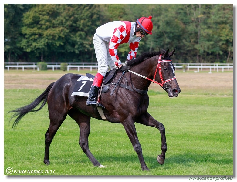 Bratislava - 10. septembra 2017 