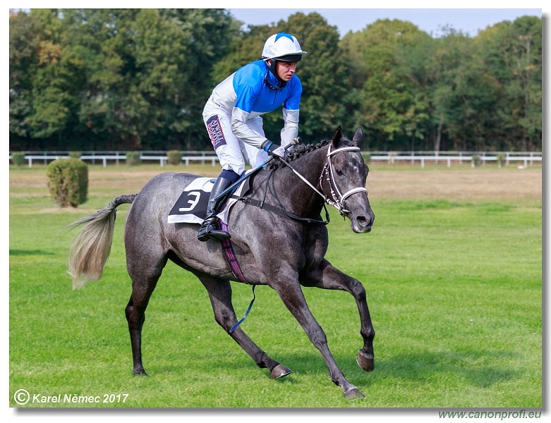 Bratislava - 10. septembra 2017 