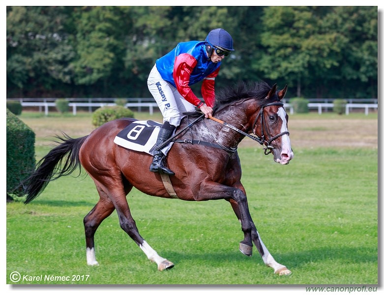 Bratislava - 10. septembra 2017 