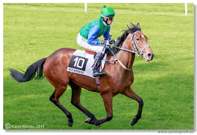 Bratislava - 15. mja 2016 