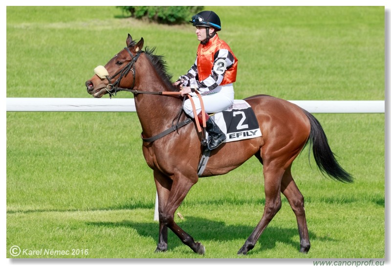 Bratislava - 15. mja 2016 