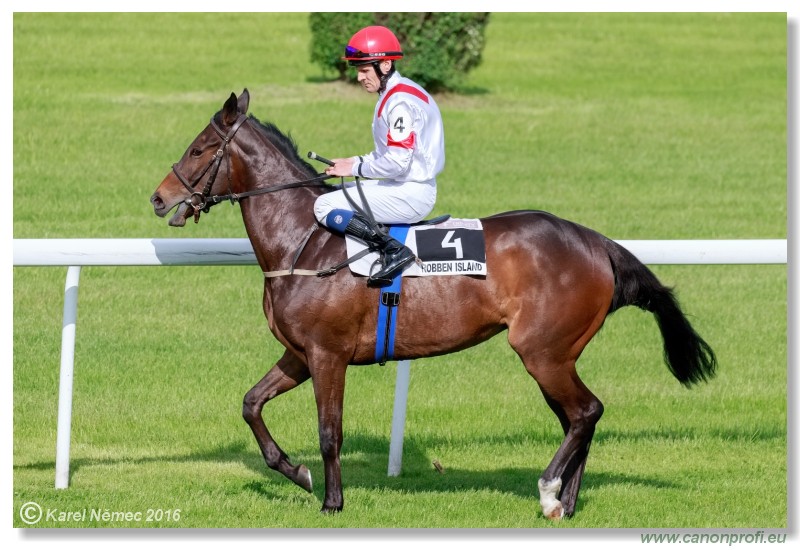 Bratislava - 15. mja 2016 