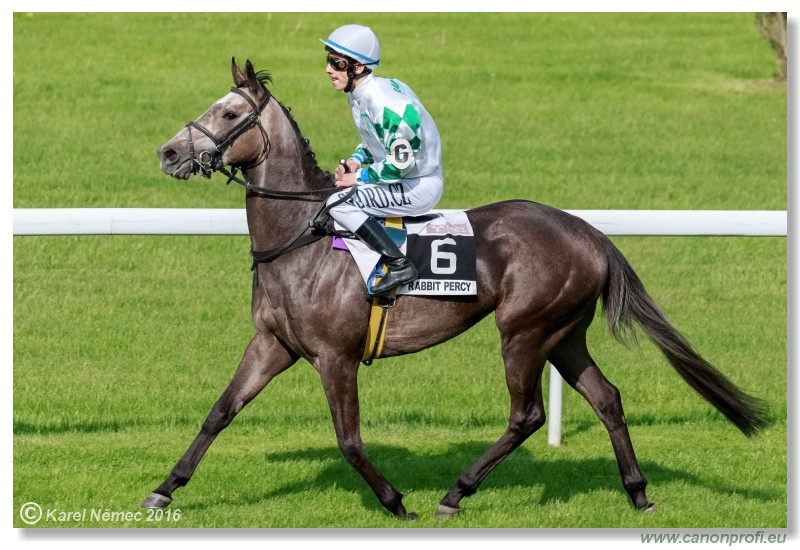 Bratislava - 15. mja 2016 