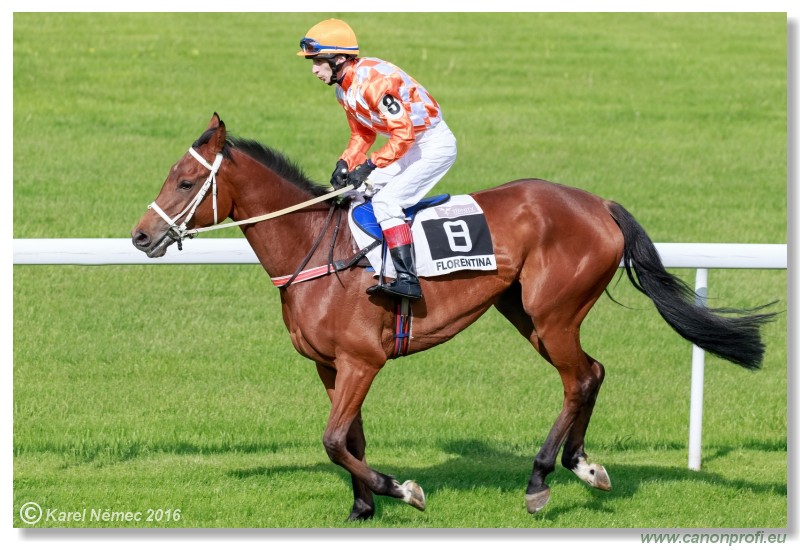 Bratislava - 15. mja 2016 