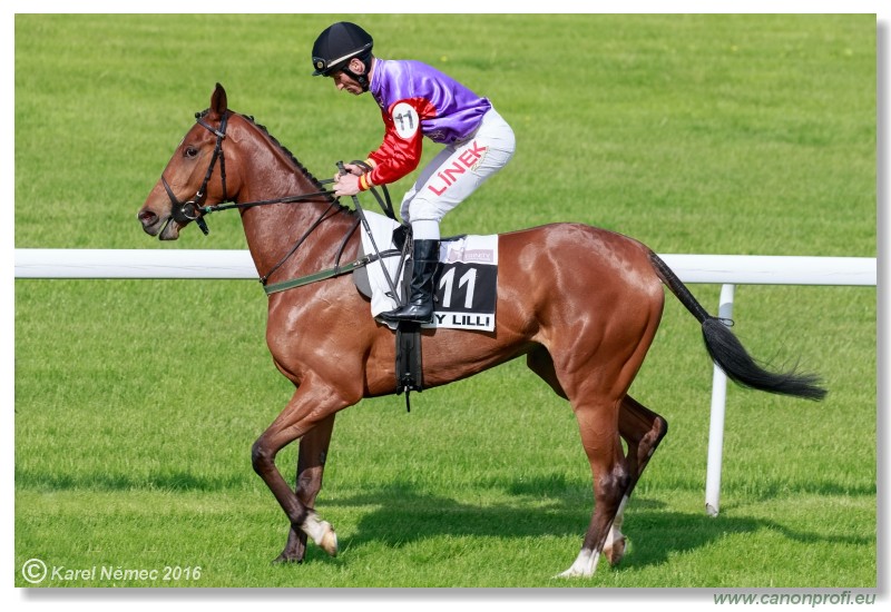 Bratislava - 15. mja 2016 