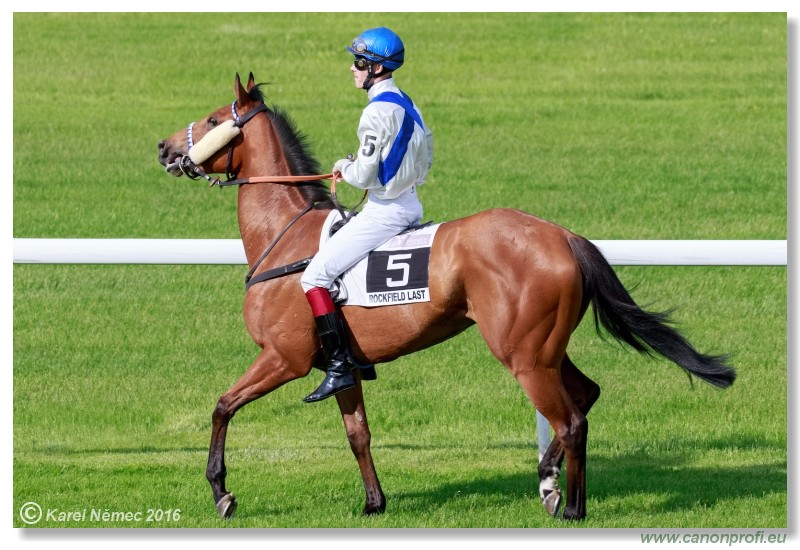 Bratislava - 15. mja 2016 