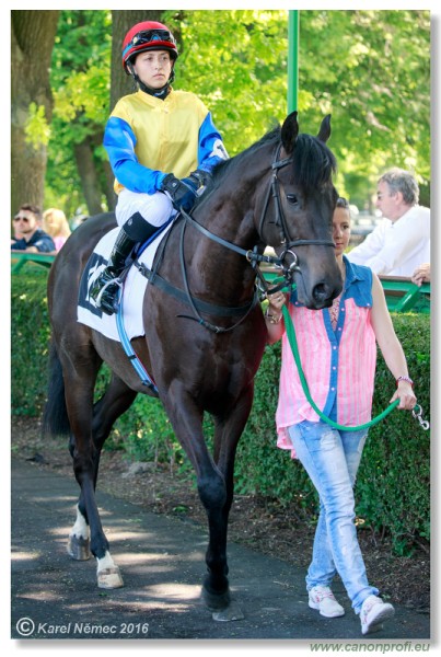 Bratislava - 22. mja 2016 