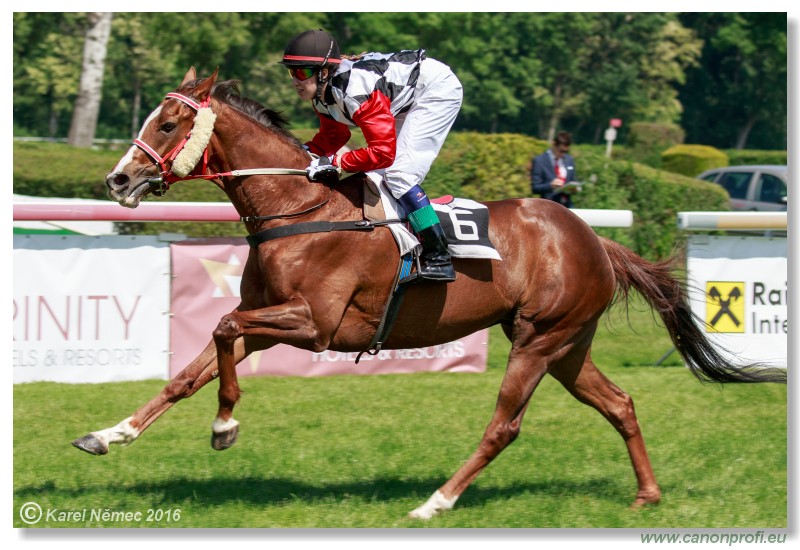 Bratislava - 22. mja 2016 