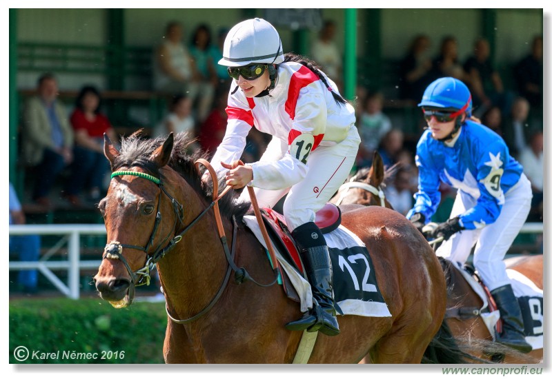 Bratislava - 22. mja 2016 