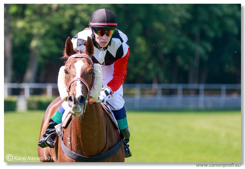 Bratislava - 22. mja 2016 