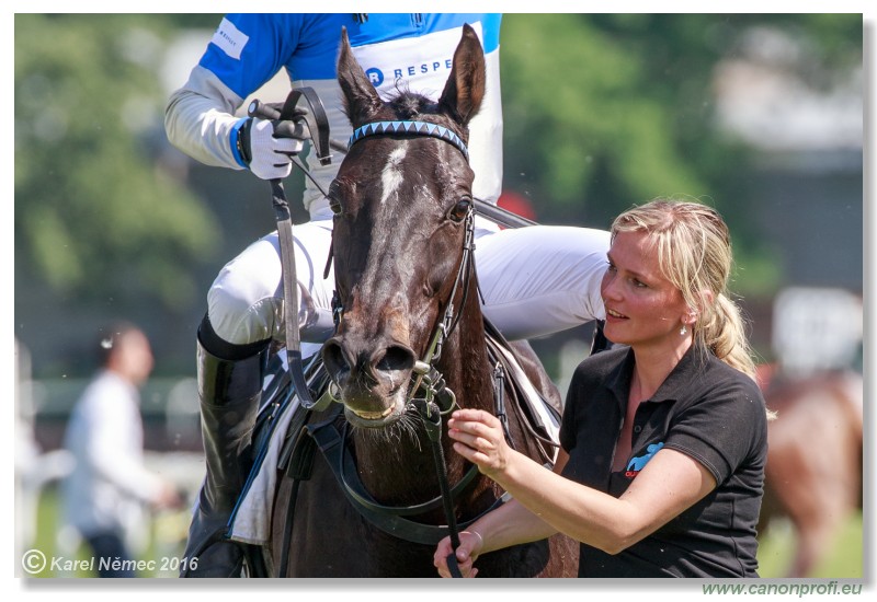 Bratislava - 22. mja 2016 