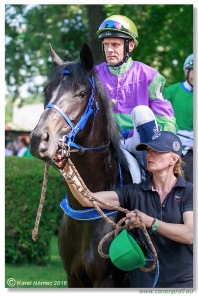 Bratislava - 22. mja 2016 