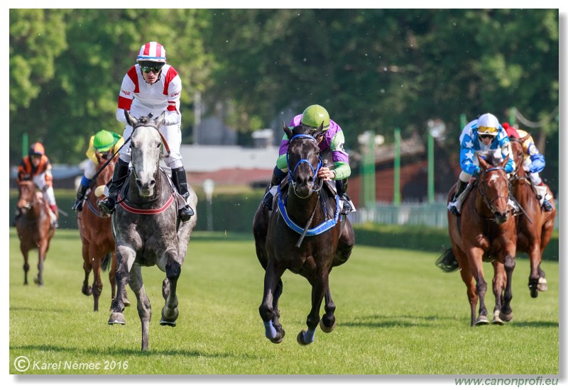 Bratislava - 22. mja 2016 