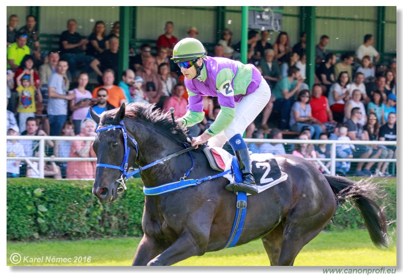 Bratislava - 22. mja 2016 